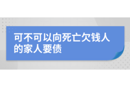 隆子要债公司